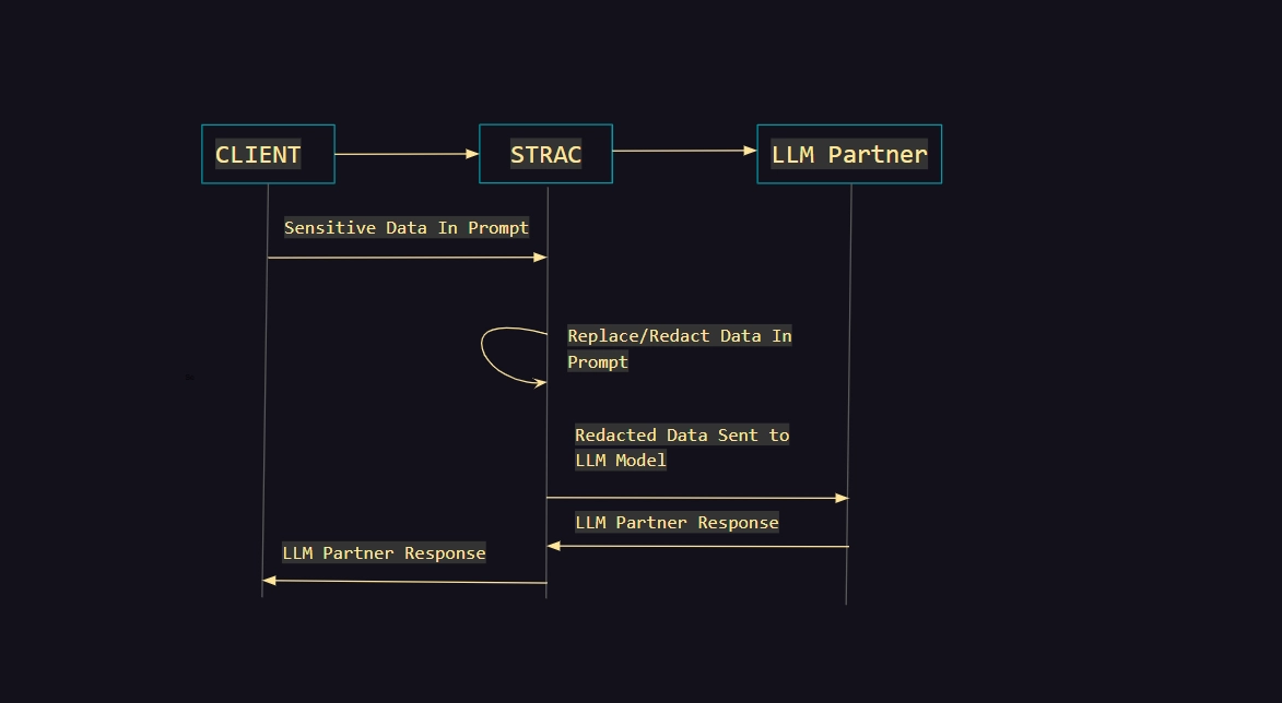 Data Redaction On Strac