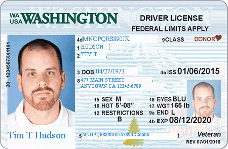 Pseudonymized driver's license — name, address, license number replaced with realistic fakes