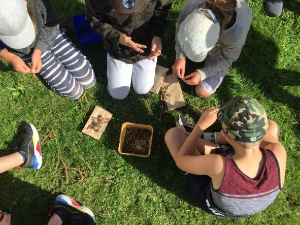 Restoration Through the Seasons