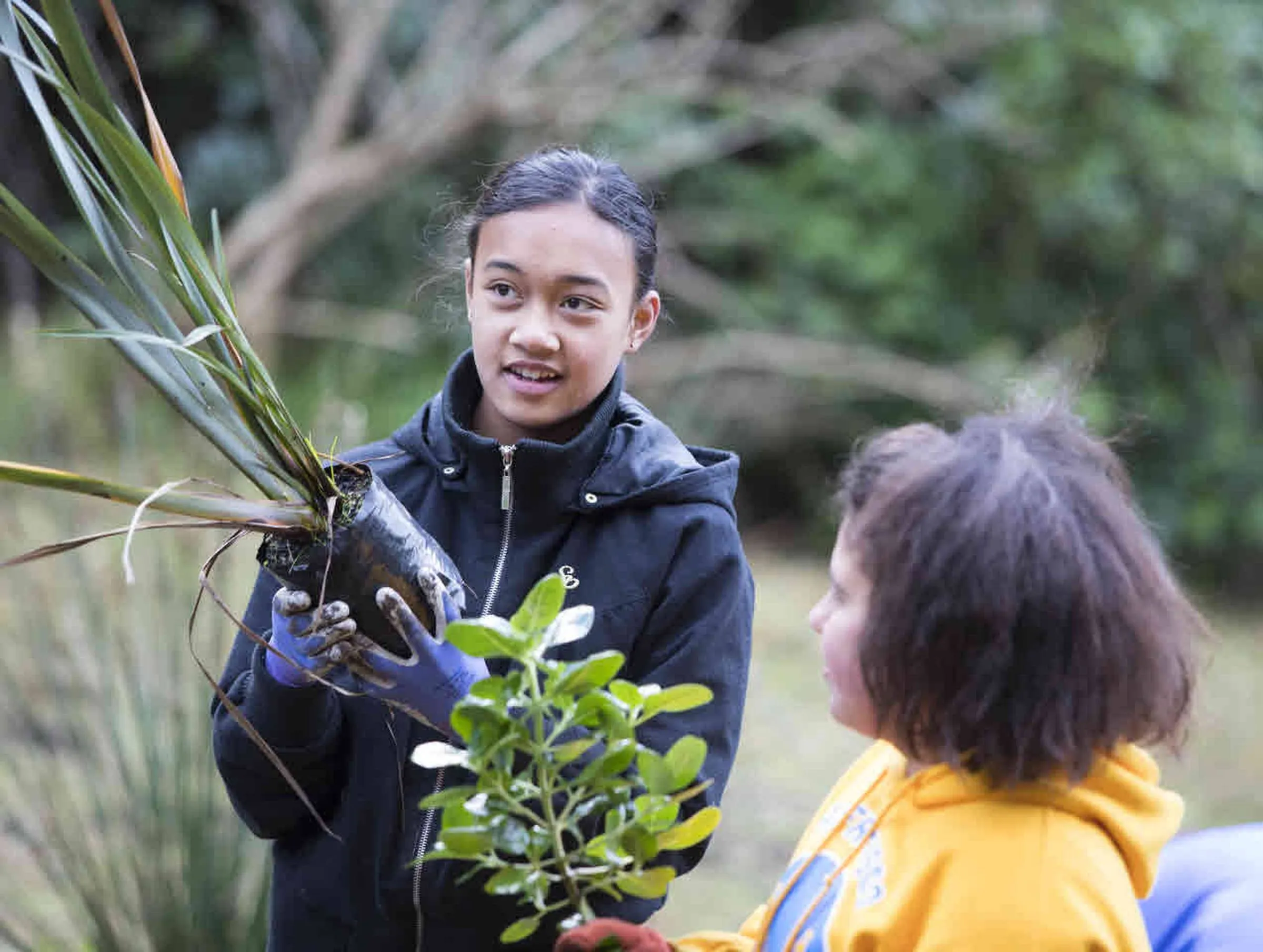 EfS Student Textbook Template