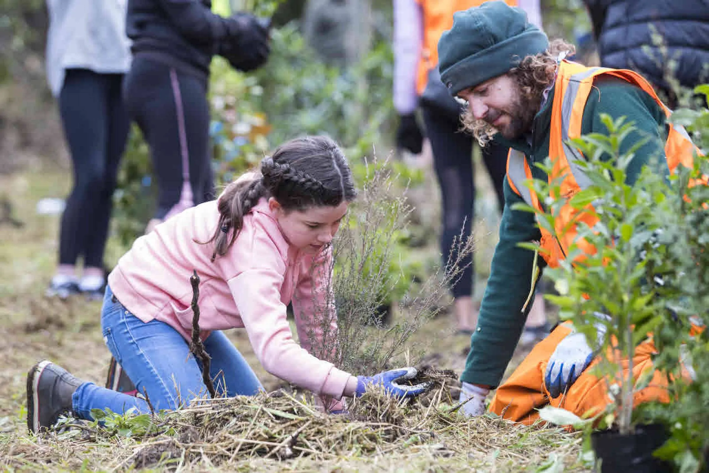 Adopt Your Local Park