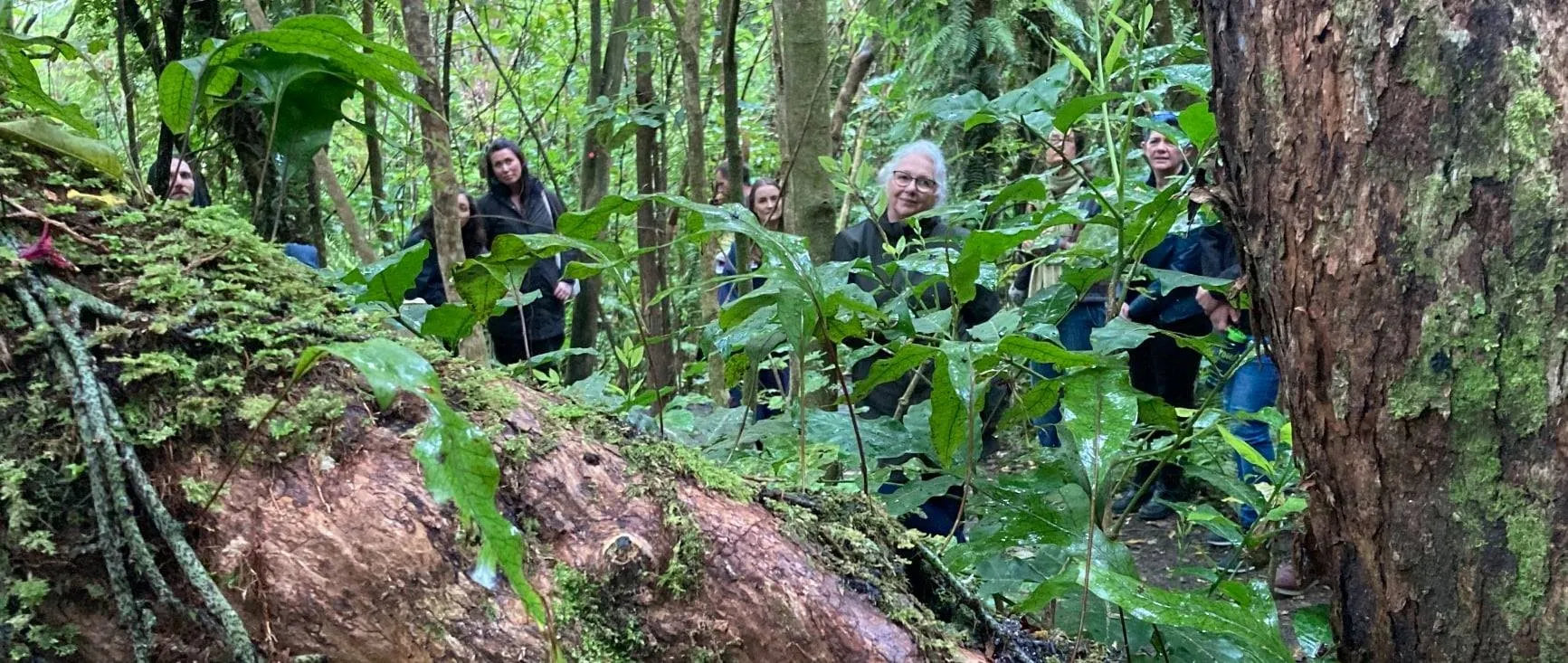 WREEF Wellington Region