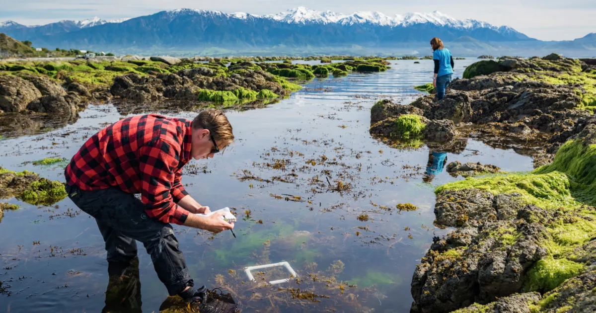 Sustainable Seas National Science Challenge