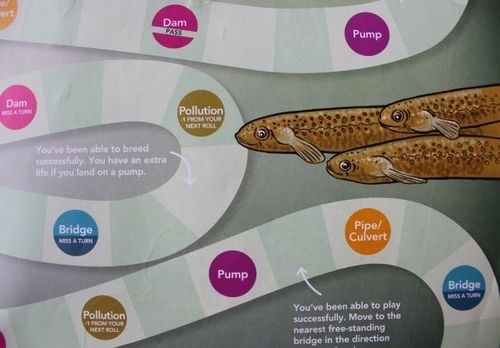 KCC - Freshwater Activities