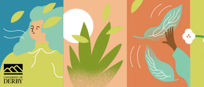 The Nature Connection Handbook