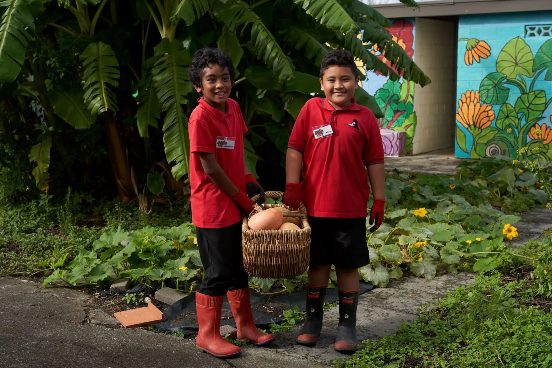Harvest Season with Garden to Table