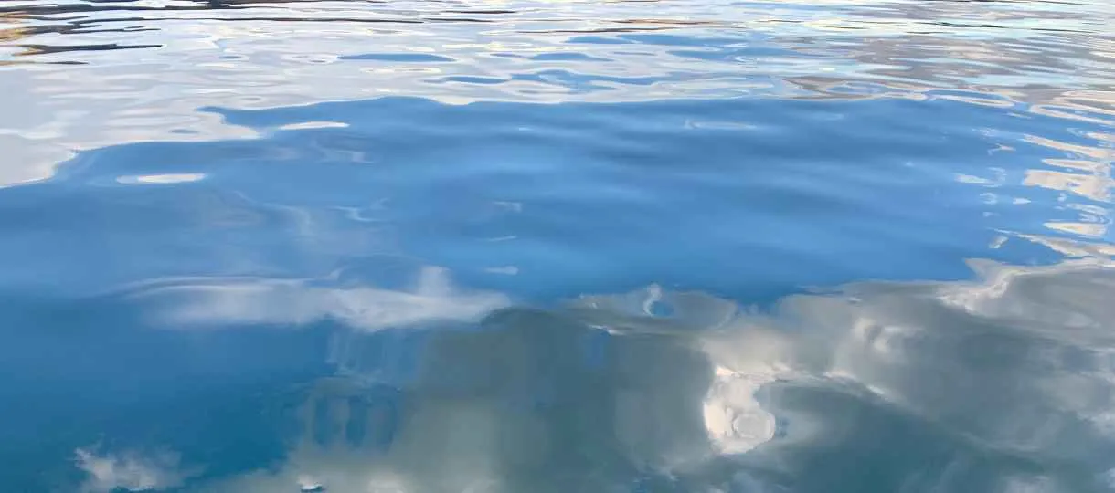 Term One 2023: Website Updates and Resources