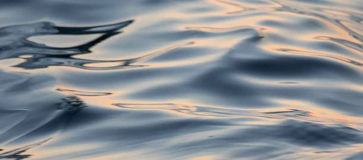 Newsletter November 2018