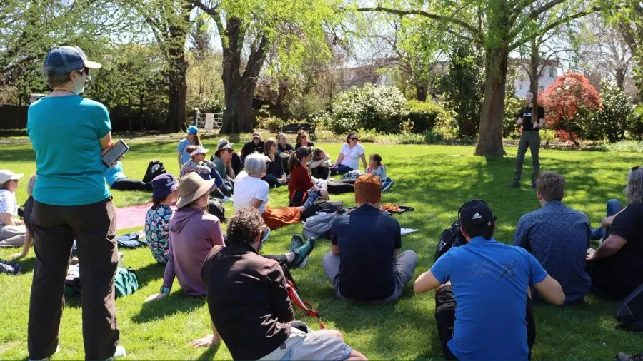 Stories of Effective Local Collaboration