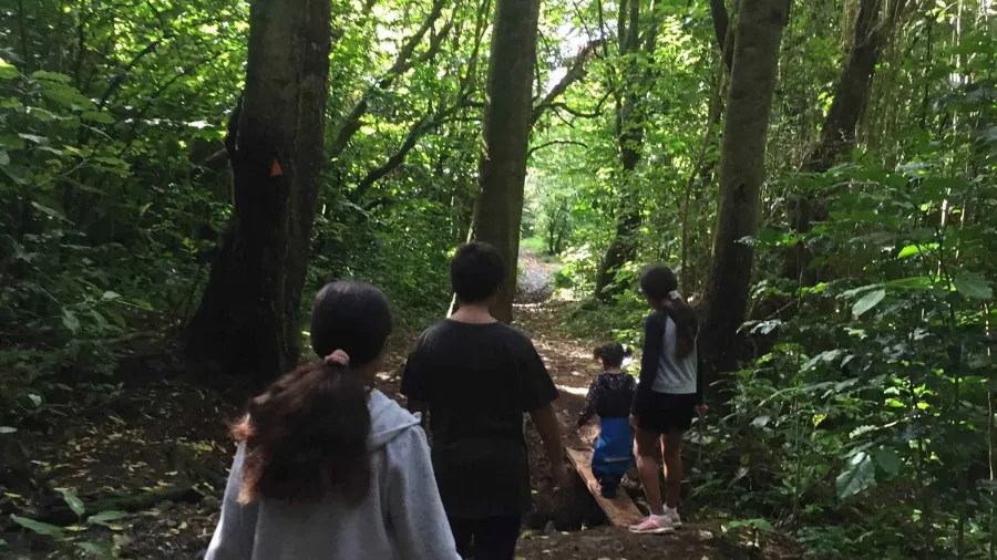 Te Whakatika Journal: Summer 2023