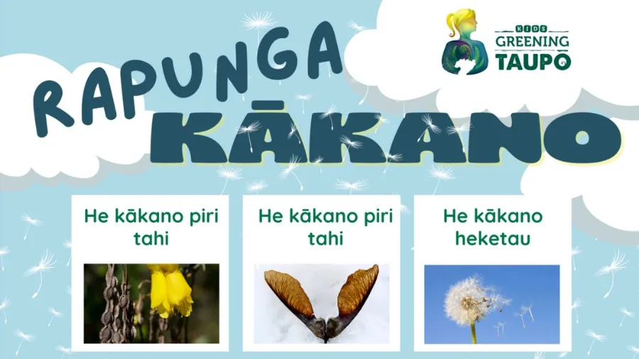 Rauemi Reo Māori Nature Connectors