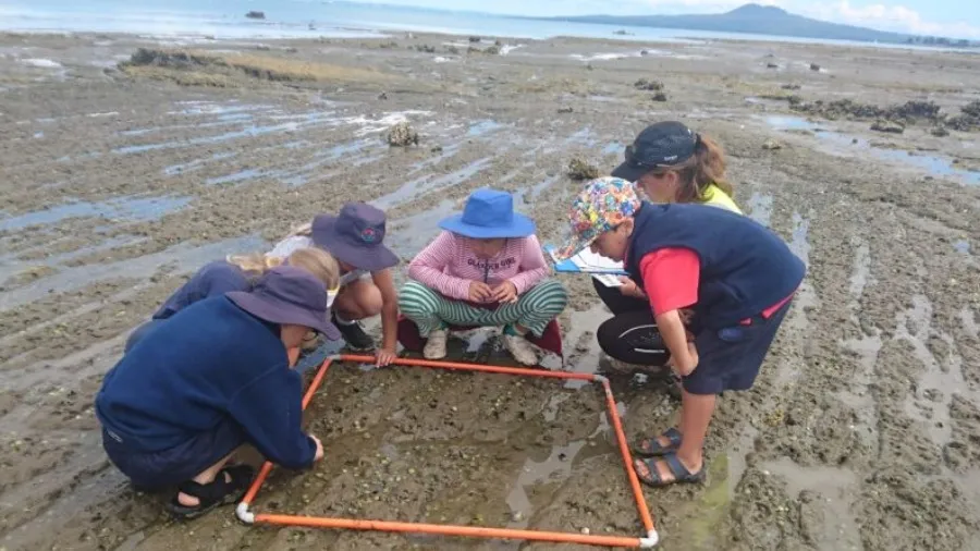 Hauraki Gulf Monitoring Project