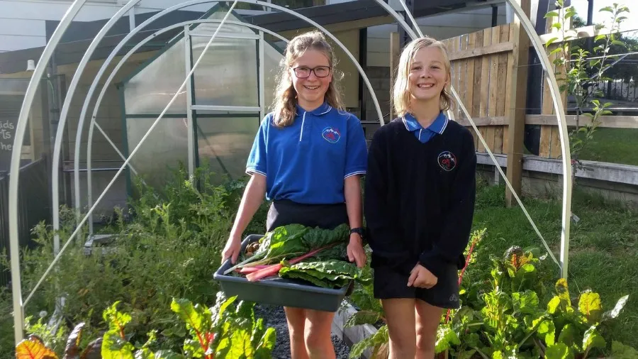 Learning with Nature