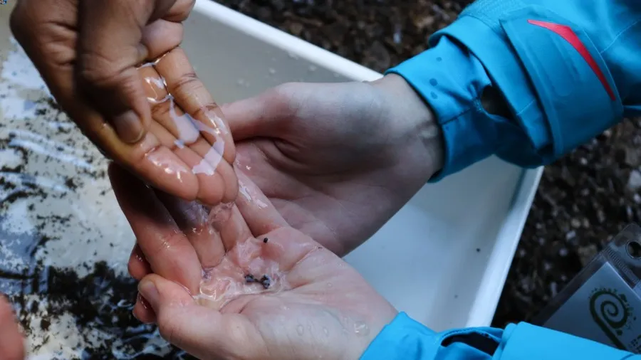 Nature Connection Community of Practice