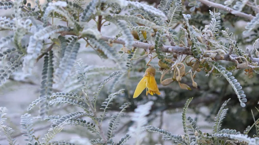 Term Three 2023: Website Updates and Resources 