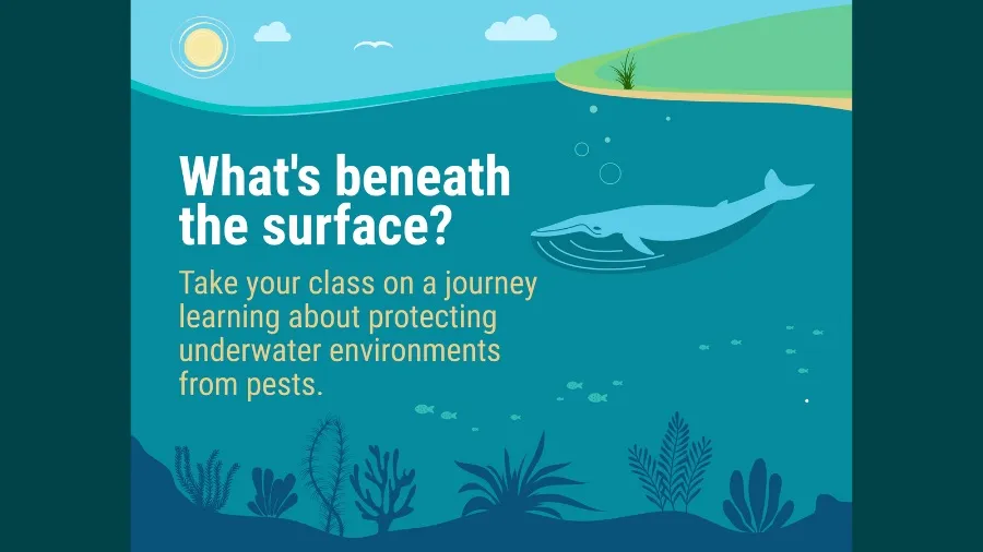 Marine Biosecurity Classroom Module