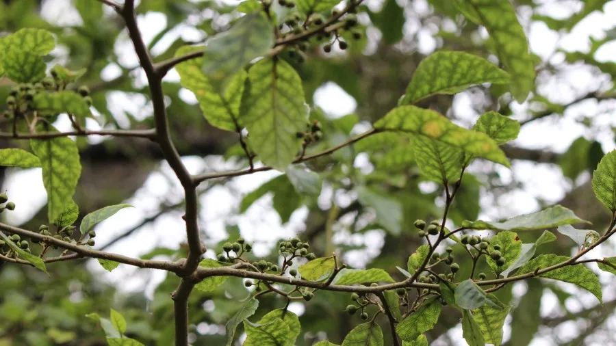 Curriculum News #1 Sept 2023