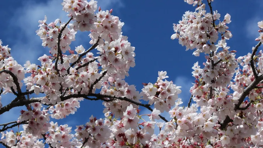 Curriculum News #2 Sept 2023 