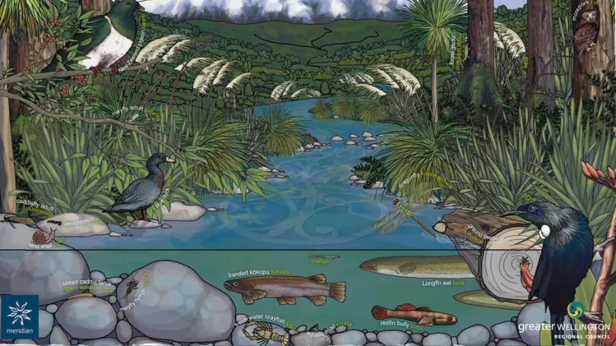 Take Action for Water