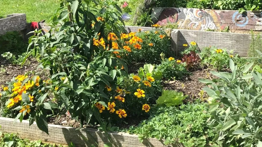 NZAEE Annual General Meeting 14 November 2023