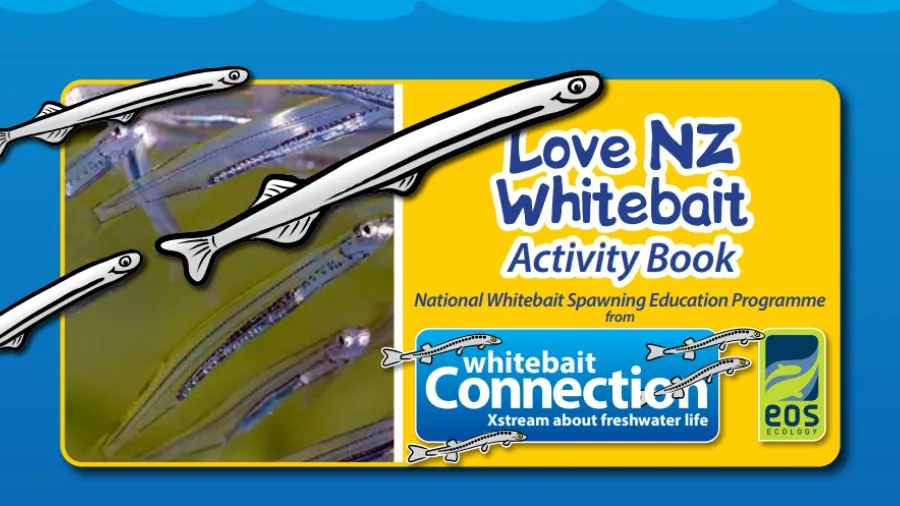 Love NZ Whitebait