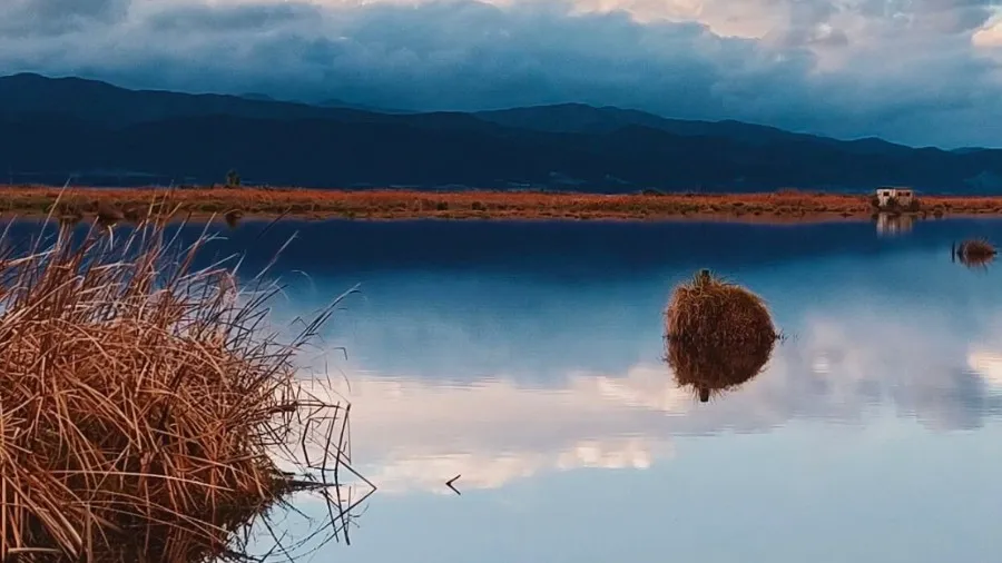 Wetlands: Wairarapa Glistening Water