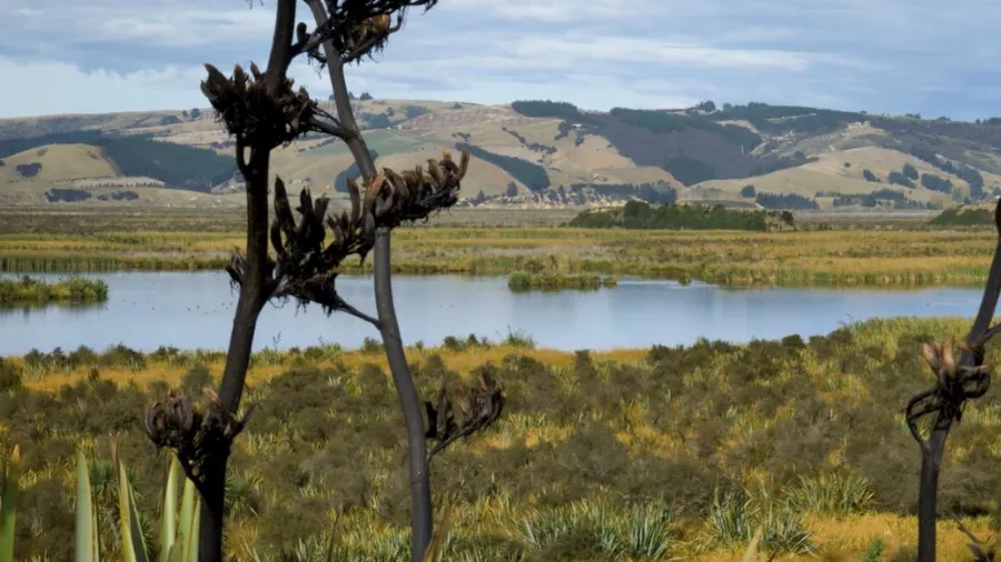 Lake Stories Aotearoa New Zealand