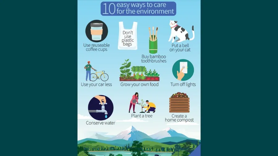 10 Easy Ways to Care for the Environment