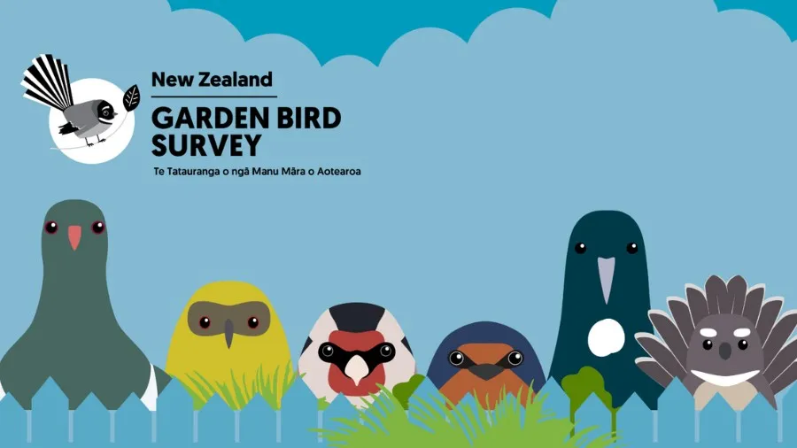 NZ Garden Bird Survey