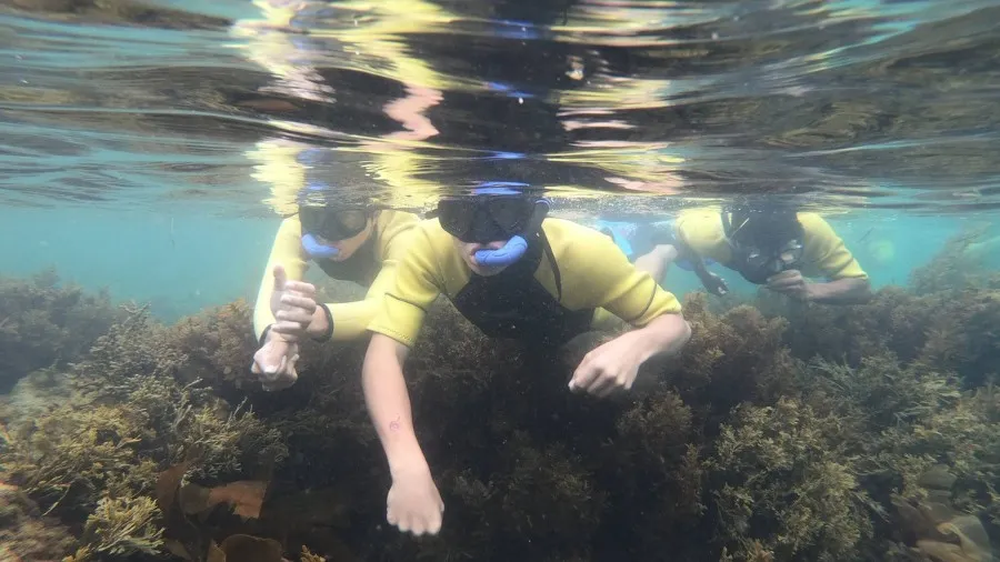 Term One 2024: New Resources, Stories & PLD