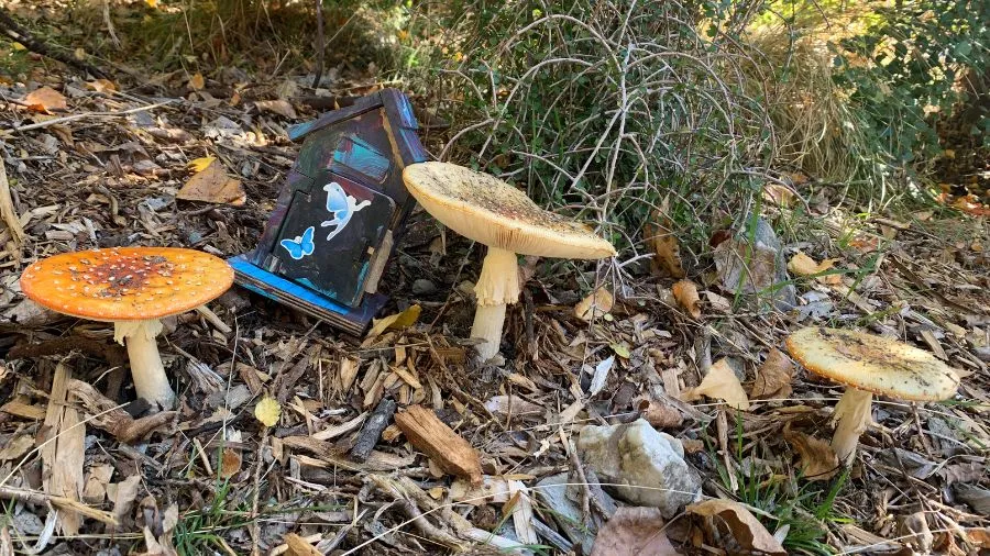 Term Two 2024: Seasonal Learning and Events 