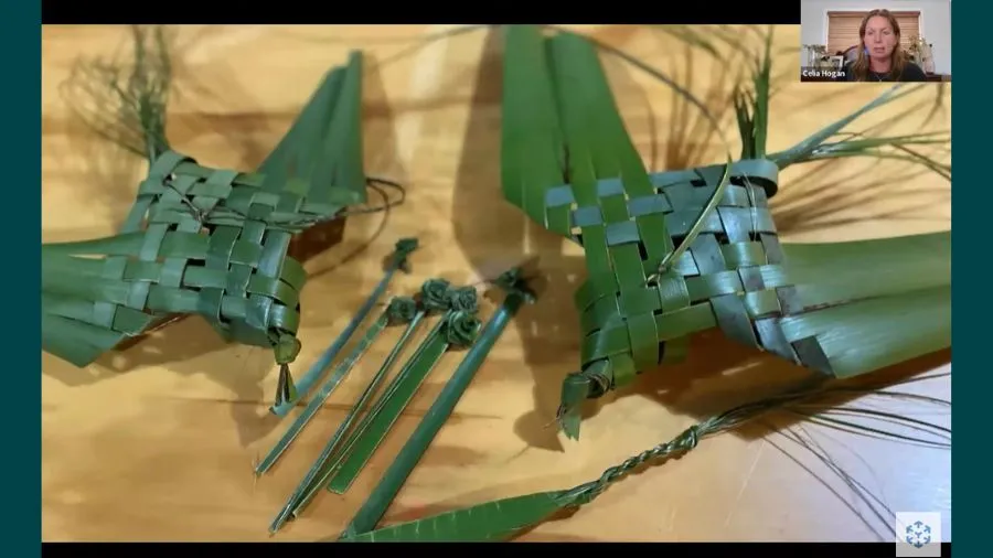 Unleashing Creativity with Natural Resources Webinar