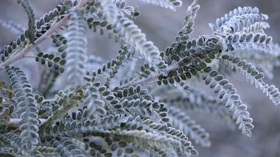 Curriculum News #5 August 2024