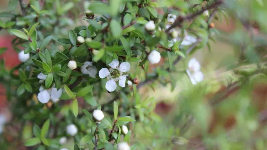 Curriculum News #6 Sept Maths feedback