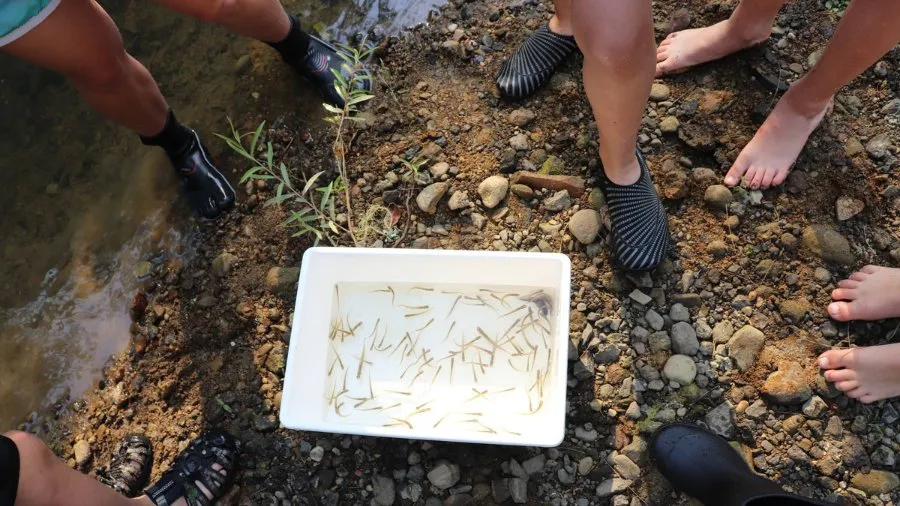 Term One 2025: Seasonal Learning and Events 