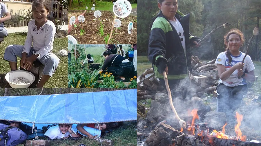 Hangarau: Sustainable, Relational Practice