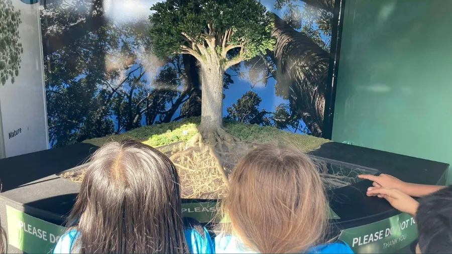 Measuring the Mighty: Maths Adventures in Kauri Education