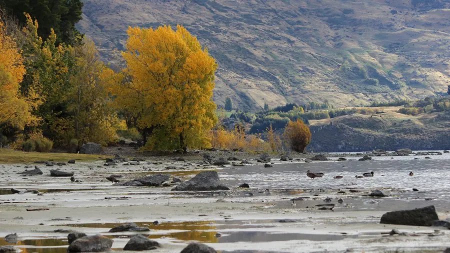 Term Two 2025: Seasonal Learning and Events 