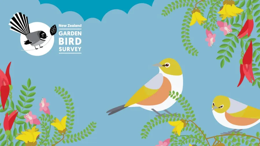 NZ Garden Bird Survey