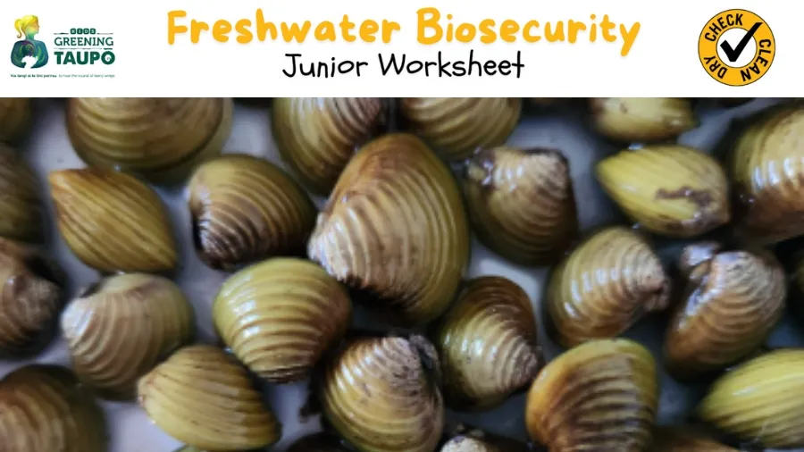 Freshwater Biosecurity: Invasive Clams