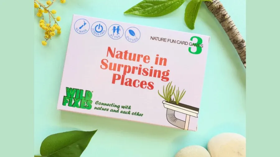 Wild Fixes Card Games