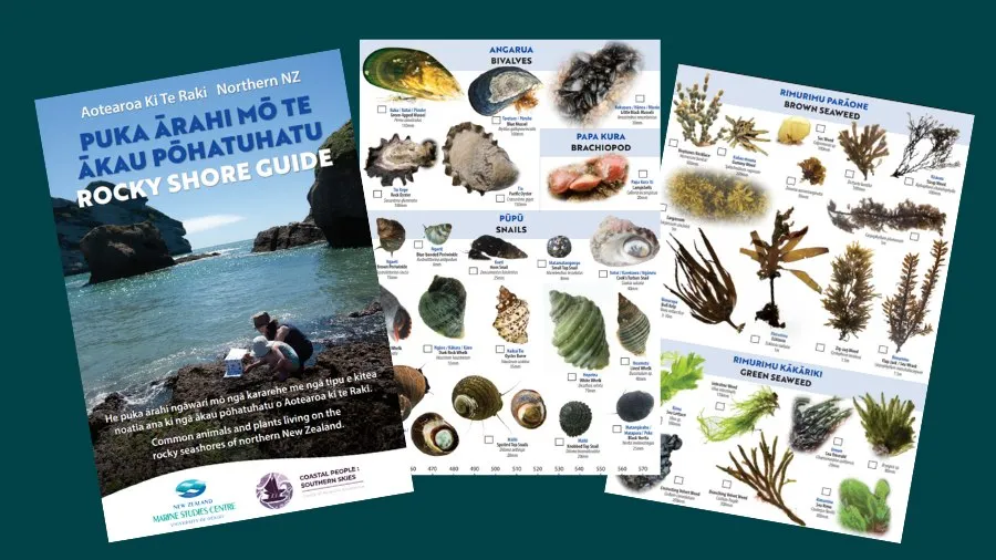 Seashore ID Guides 