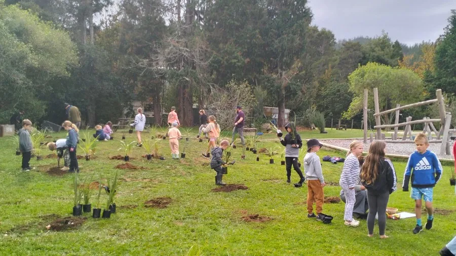 Rākau | Trees in our Learning Spaces