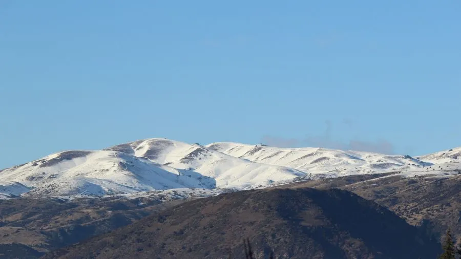 NZAEE Submission on Regulatory Standards Bill