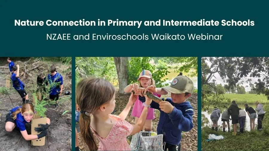 Nature Connection in Primary and Intermediate Schools