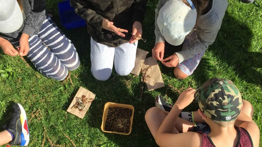 Exploring Biodiversity through Statistics Investigations