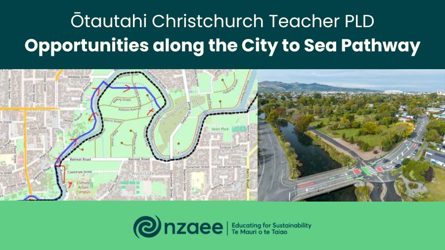 Teacher PLD: Opportunities along the City to Sea Pathway