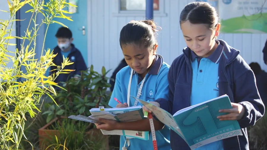 Compost Calculations: Algebra and Measurement in Action