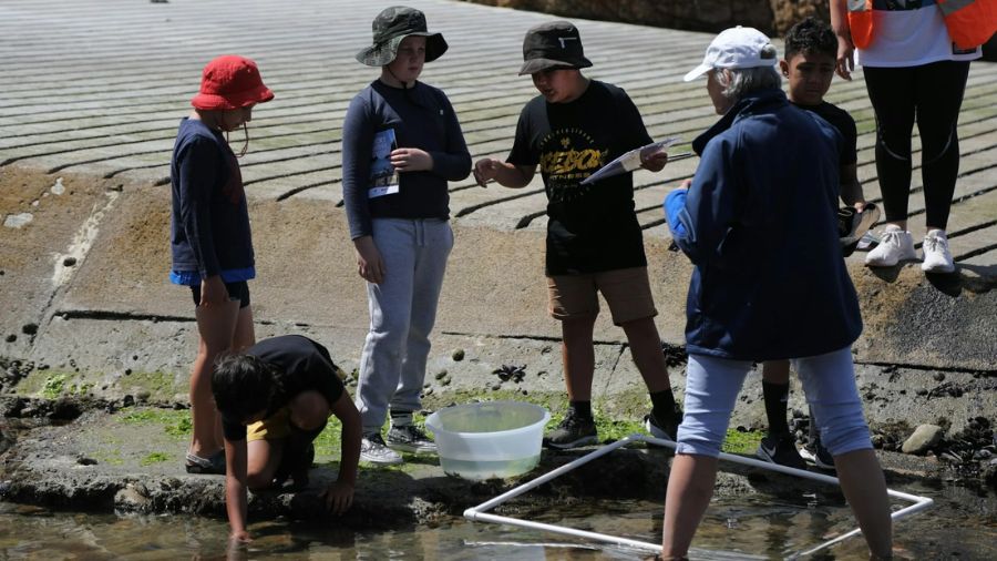 Webinar: Monitoring the moana - participatory science methods