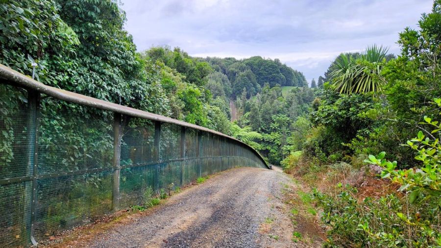 LEARNZ Online Field Trip: Sanctuary Mountain Maungatautari